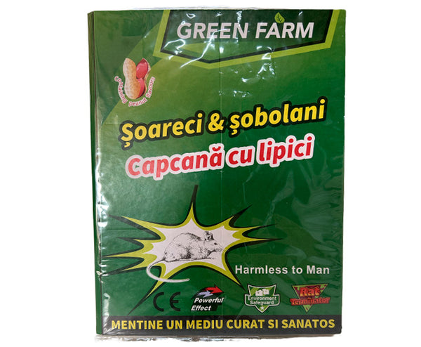 Capcana lipici soarecei mare 21*16