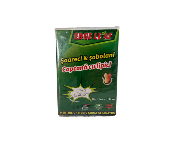 Capcana lipici soarecei mica 17*12