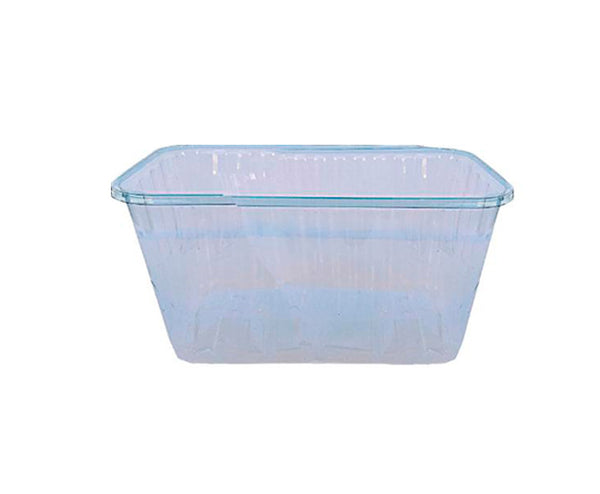 Conteiner p/u fructe 1000ml