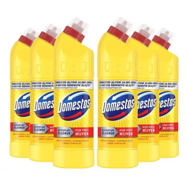 Domestos 750 ml Citrus fresh